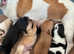 Jack Russell puppies