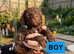 Beautiful Cavapoos for sale