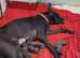 Adorable KC Blue Great Dane puppies! READY NOW!