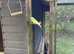 Budgies for sale - Male and Female