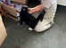 Bangle cross kitten - male
