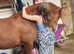 Top Class Welsh Section C Mare