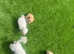 4 beautiful Cavapoochon puppies