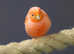 Red Canaries,18