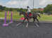 15.1/15.2h safe as houses happy hacker/ alrounder gelding