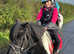 Stunning Shetland pony