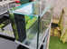 LARGE FISHTANK 32X12.5X16 INCH