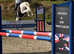 Stunning talented gelding for sale