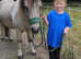 11h Shetland cross 7yr old