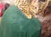 Savannah  female 2900 white mink savannah male 2550