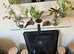 Free Closed/Open Terrariums