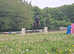 13.3hh 5yrs super star pony Duke welsh cob