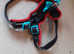 Medium Dog Harness (Adjustable) & Lead