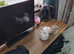 Double Room to let HU9 AREA