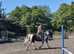 Very quiet 14hh been there done it all