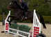 15.3 Mare TB safe sane sound fab all rounder