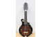 Gold Tone Manditar 12-String Mandolin Guitar - A Real Super Bargain !!!