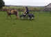 Ride & Drive Geldings