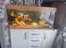 Juwel Rio 240L tank stand and fish