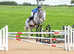 16.2hh Warmblood mare. Sadly need to sell