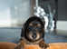 Miniature long haired dachshund