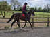 Pretty 3yr RoR eligible