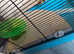 Cage Extra large plus extras Hamster/Mouse