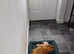2 dog for sale