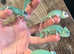 Baby Yemen Chameleons Normals & Pieds