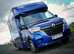 Castleton Equine Transport! Fast free quotes available now!