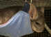 Female mosaic and male beige chinchilla
