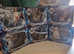 Dr who box sets