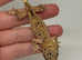 Baby crested gecko- dalmatian