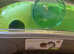 Pets at Home Spelos XL entry hamster cage and accessories and
