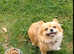New forever home needed