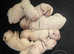 Beautiful White Labrador Puppies