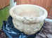 Plant pot concrete beautiful flower design as new £35