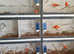 Canary  breeding cages block of 8