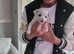 My beautiful girl give birth to 3 gorgeous boys they are now 4 weeks old and coming along great