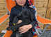 Giant Schnauzer x2 males available now