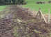 Stock fencing