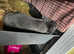 Female for sale in Wolverhampton