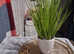 Faux plant in white pot