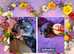 KC REGISTERED Beautiful Rottweiler Puppies