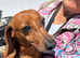 Meet Nita "Bonita" - Our Little Lady Looking for Love!
