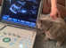Mobile Pet Pregnancy Ultrasound - Microchipping - Cytology