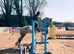 Emily super all rounder