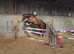 Stunning 3 year old Filly
