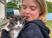 Tabby kittens available