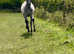 PRE Yearling Filly by Embrujo JL x Mosquetera VIII